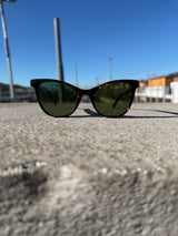 CAT PUSH UP LIMITED EDITION